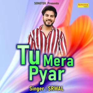 Tu Mera Pyar Album Art