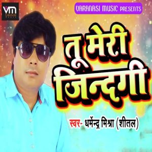 Tu Meri Zindagi Album Art
