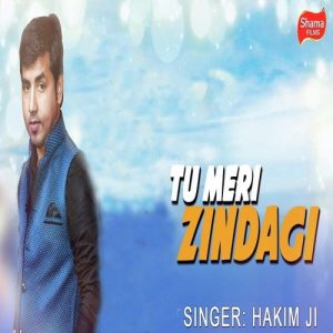 Tu Meri Zindagi Album Art
