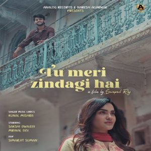 Tu Meri Zindagi Hai