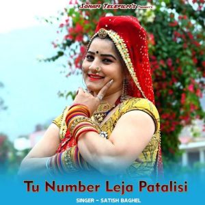 Tu Number Leja Patalisi Album Art