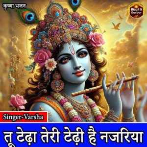 Tu Tedha Teri Tedhi Hai Najariya Album Art