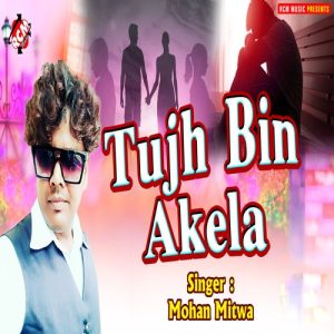 Tujh Bin Akela Album Art