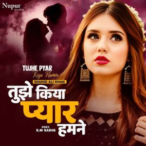 Tujhe Pyar Kiya Humne Album Art