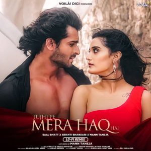 Tujhi Pe Mera Haq Hai (Lo-Fi Remix)