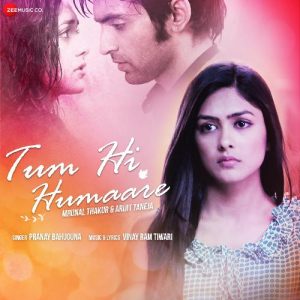 Tum Hi Humaare (2021) Album Art