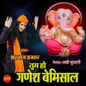 Tum Ho Ganesh Bemisal