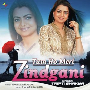 Tum Ho Meri Zindgani Album Art