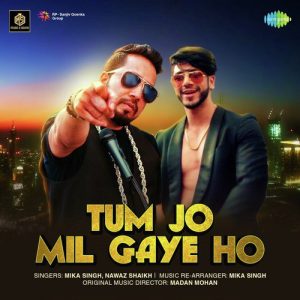 Tum Jo Mil Gaye Ho – Mika Singh Album Art