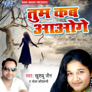 Tum Kab Aaoge Album Art