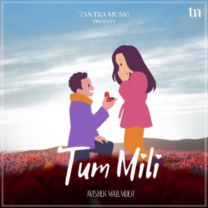 Tum Mili