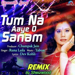 Tum Na Aaye O Sanam – Remix