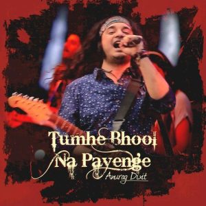 Tumhe Bhool Na Payenge Album Art