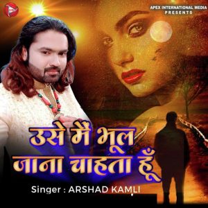 Use Me Bhula Jana Chahta Hu Album Art