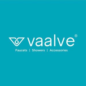 Vaalve Song Album Art