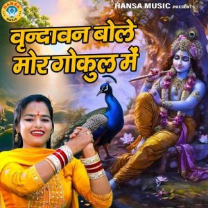 Vrindavan Bole Mor Gokul Mein Album Art