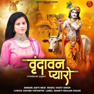 Vrindavan Pyaro Album Art