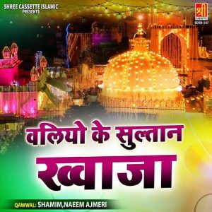 Waliyo Ke Sultan Khwaja Album Art