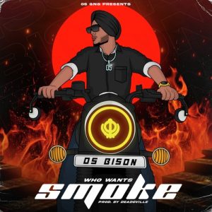 Who wants Smoke? Album Art