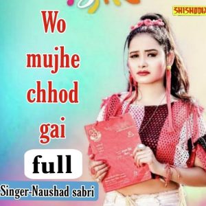 Wo Mujhe Chhod Gai Full Album Art