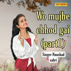 Wo Mujhe Chhod Gai Part 1 Album Art