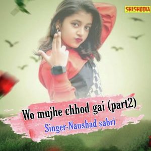 Wo Mujhe Chhod Gai Part 2 Album Art