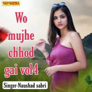 Wo Mujhe Chhod Gai Vol04 Album Art