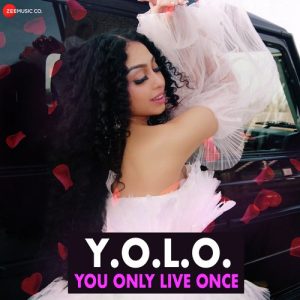 Y.O.L.O. You Only Live Once Album Art