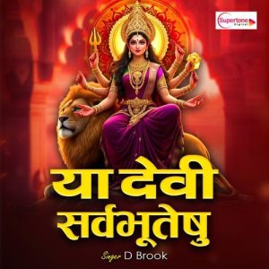 Ya Devi Sarva Bhuteshu Album Art