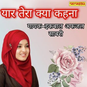 Yaar Tera Kya Kehna