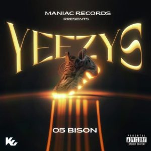 Yeezys Album Art