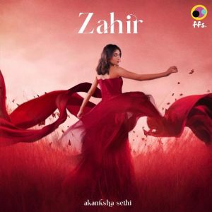 Zahir Album Art
