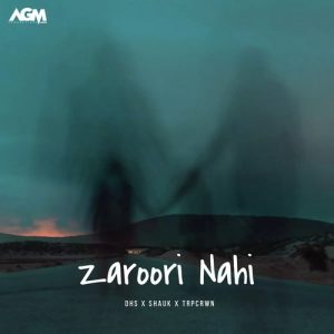 Zaroori Nahi Album Art