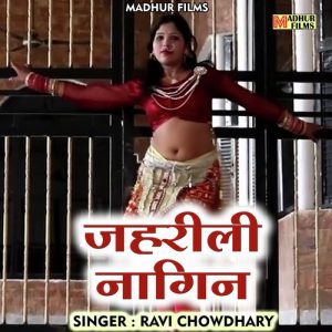 Zeherali Naagin Album Art