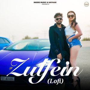 Zulfein