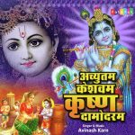 Achyutam Keshwam Krishna Damodaram(Remix)
