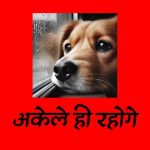 Akele Hi Rahoge