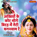 Ankhiyon Ke Kor Bhige Biraha Main Teri Ghanshyam Re
