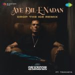 Aye Dil E Nadan drop The Ice Remix