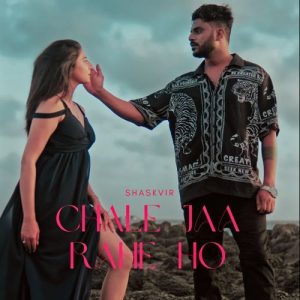chale jaa rahe ho Album Art