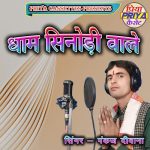 Dham Sinodi Wale