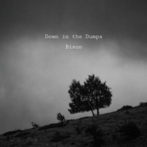 down in the dumps Album Art