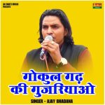 Gokul gadh ki gujariyao (Hindi)
