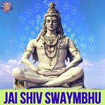 Shiv Tandav Stotra