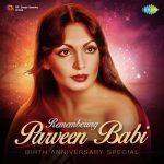 Jawani Jan E Man