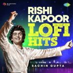 Jhoot Bole Kauva Kate LoFi Flip