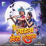 Ladla Mera Shyam