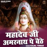 Mahadev Ji Amarnath Pe Baithe