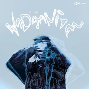 nadaaniyan