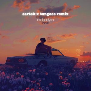 nadaaniyan (Sartek & Tangoes Remix) (2024) Album Art